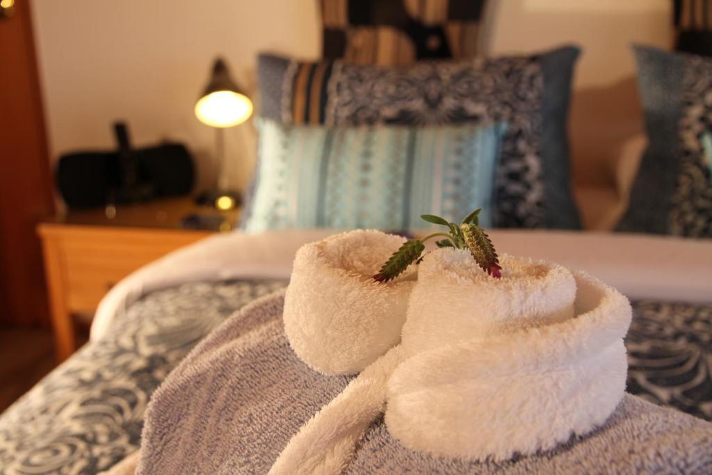 Chalet Romantica Paihia Habitación foto